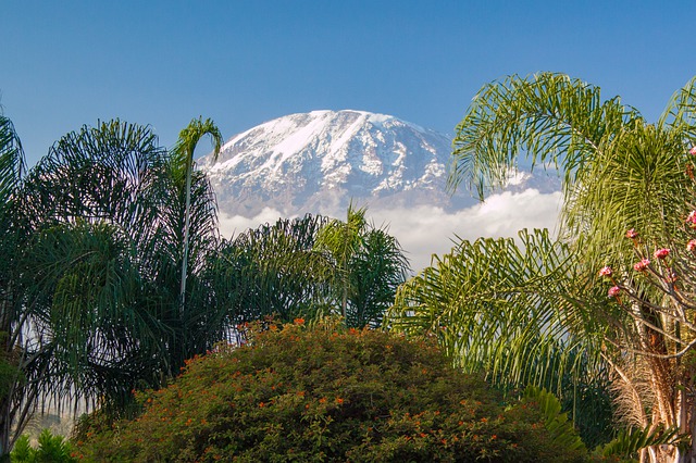 When to climb Kilimanjaro featured image